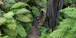 Rotorua Trails Trust Supporters