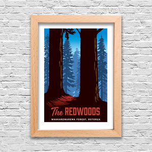 Redwoods Print