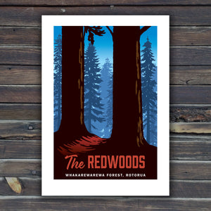 Redwoods Print