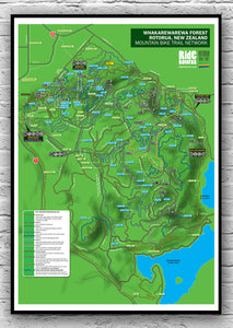 RideRotorua Trailmap 2023 poster